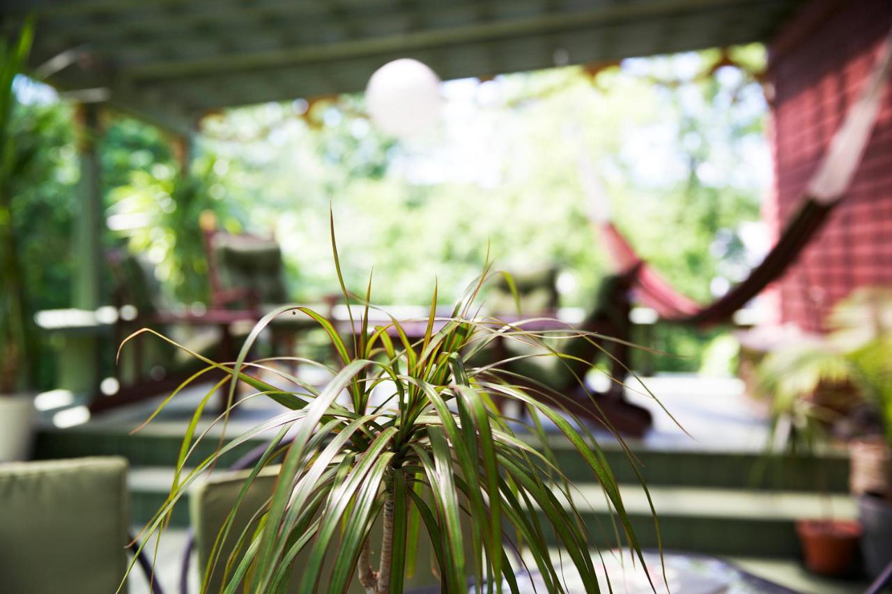 Gite Au Chant De L'onde Bed & Breakfast 4*