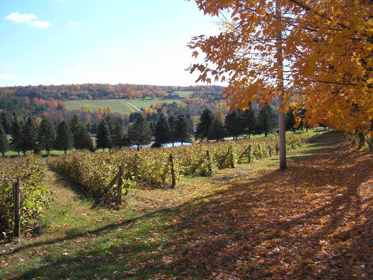 Bed & Breakfast Gite Au Chant De L'onde Frelighsburg